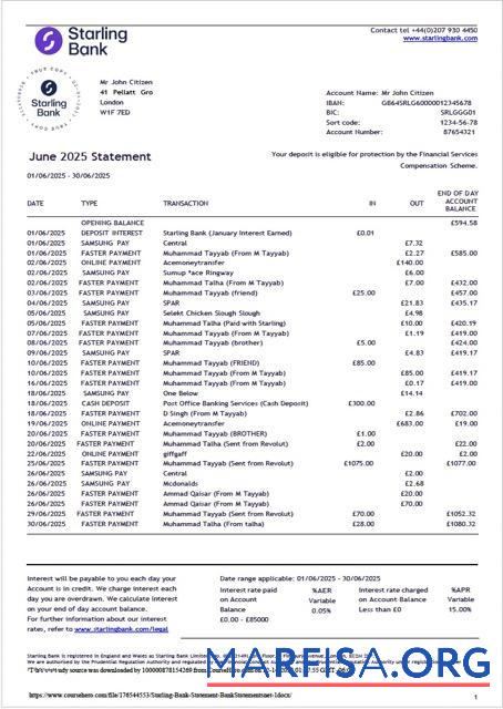 Realistic UK Starling bank statement word template